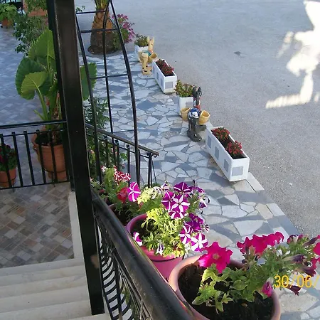 Chryspy Toulatos Pouláta